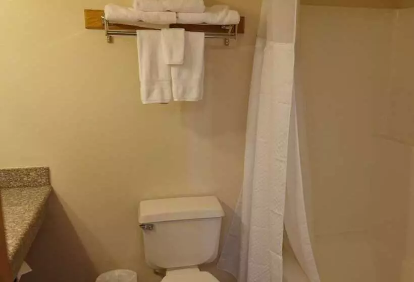 Standard Neljän Hengen Huone, Seasons Motel