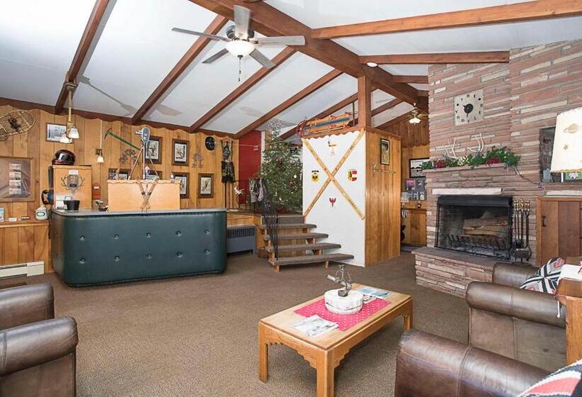 اتاق استاندارد با تخت بزرگ, Yodeler Motel