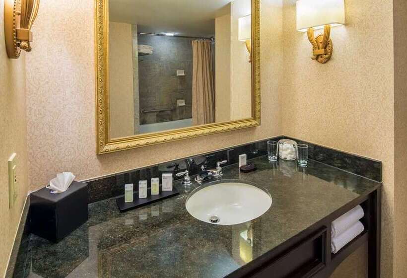 キングサイズベッドのエクゼクティブルーム, Embassy Suites Hotel Denver Tech Center