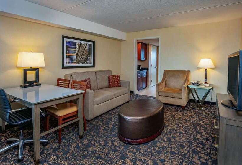 이그제큐티브 룸 킹사이즈 침대, Embassy Suites Hotel Denver Tech Center