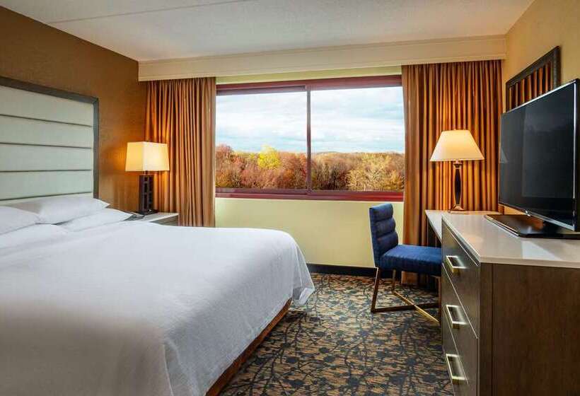 キングサイズベッドのエクゼクティブルーム, Embassy Suites Hotel Denver Tech Center