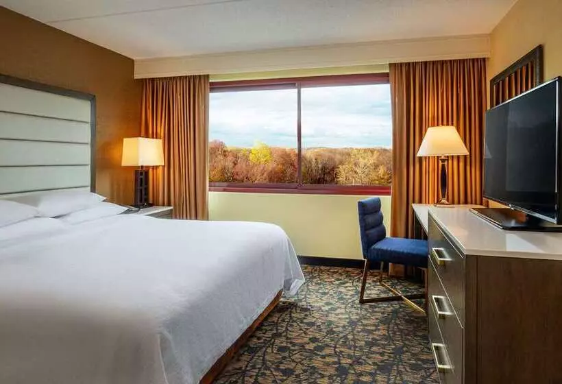اتاق اجرایی با تخت بزرگ, Embassy Suites Hotel Denver Tech Center