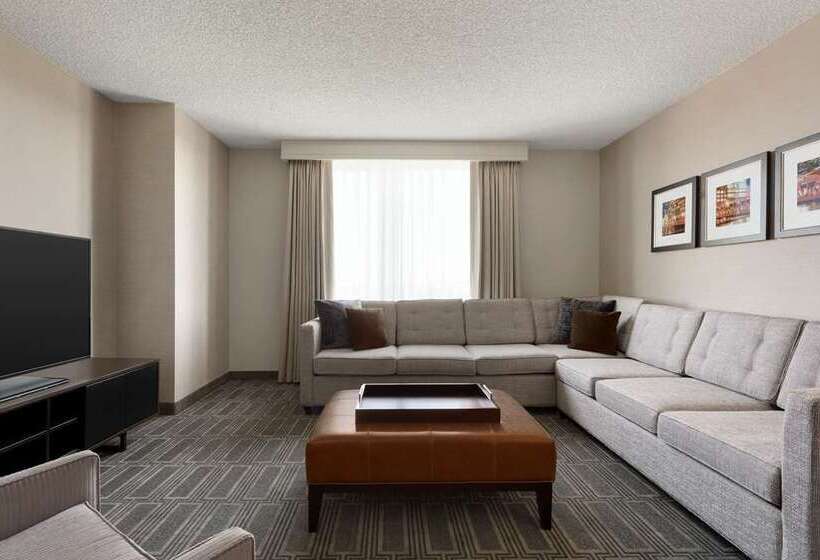 이그제큐티브 룸 킹사이즈 침대, Embassy Suites Hotel Denver Tech Center