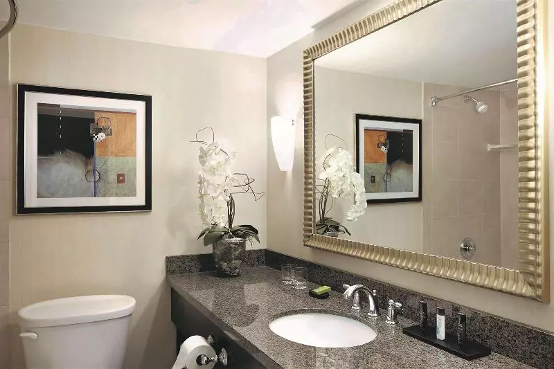 سوئیت با تخت بزرگ, Embassy Suites Hotel Denver Tech Center