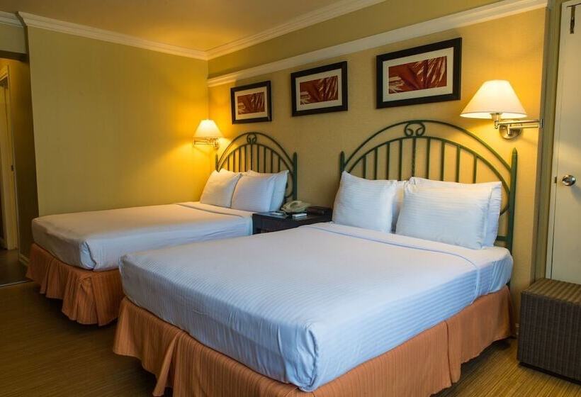 اتاق استاندارد, Kapok