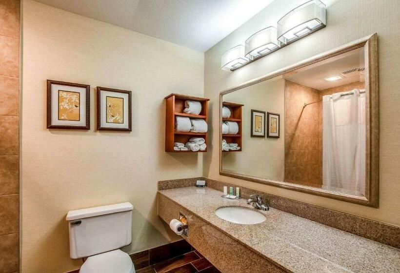 غرفة قياسية, Country Inn & Suites By Radisson, Muskegon, Mi