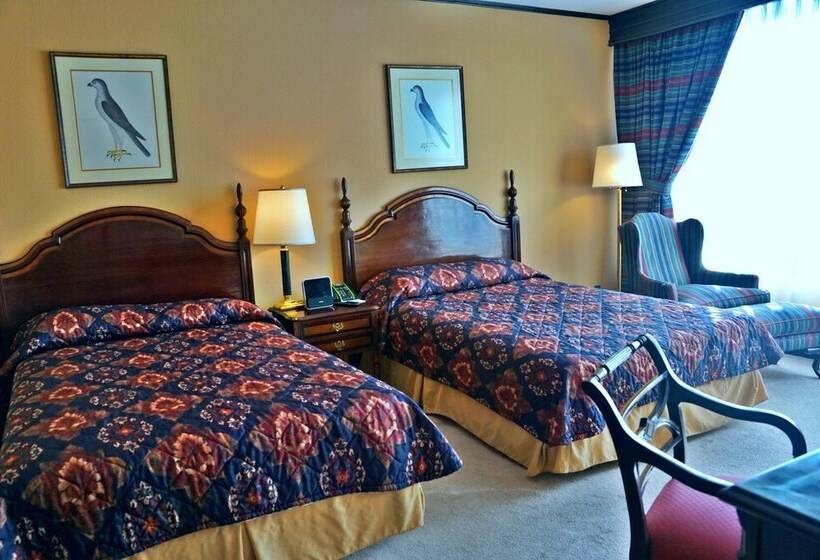 חדר דלוקס, Real Plaza Hotel And Convention Center