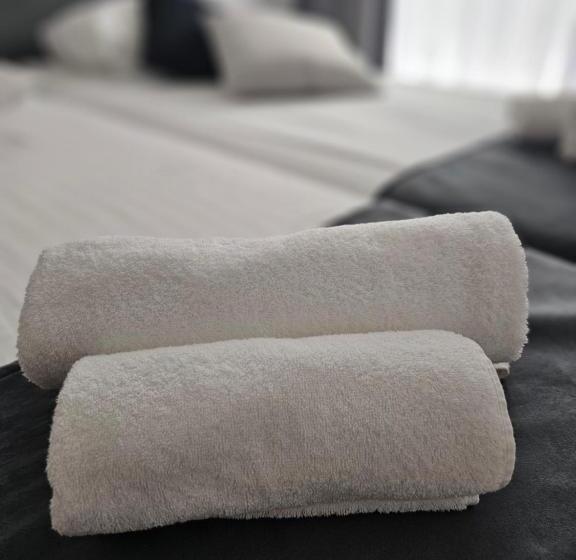 اتاق استاندارد یک نفره, Tabor