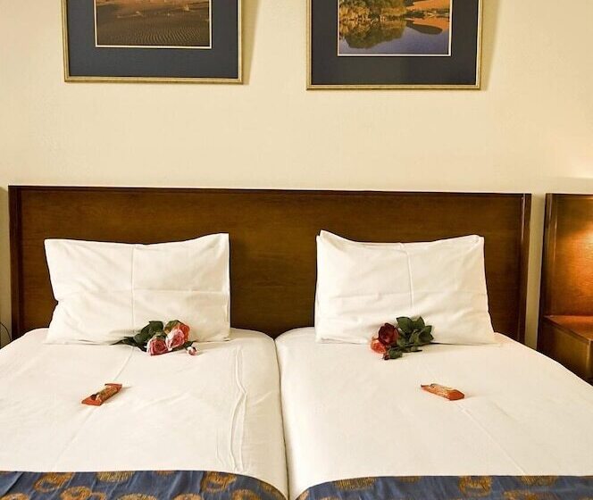 Standard Værelse, Thuringerhof