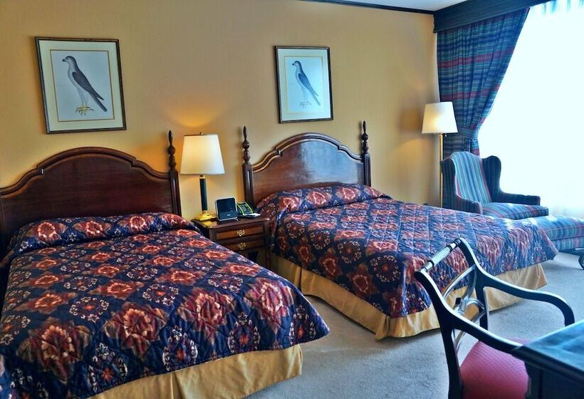 חדר דלוקס, Real Plaza Hotel And Convention Center