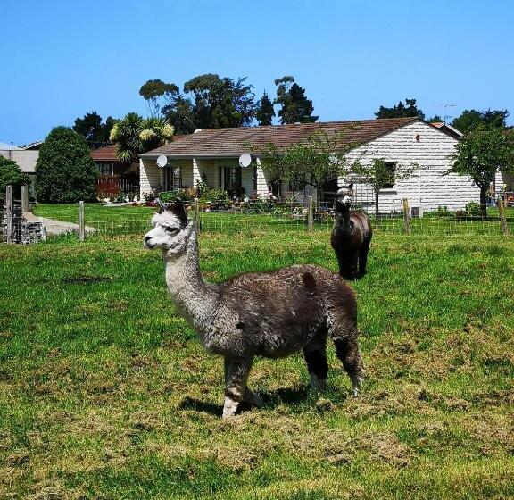 Апартаменты 1 Спальня, Colonial Lodge Motel