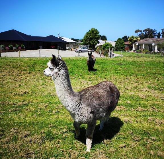 Семейные Апартаменты, Colonial Lodge Motel