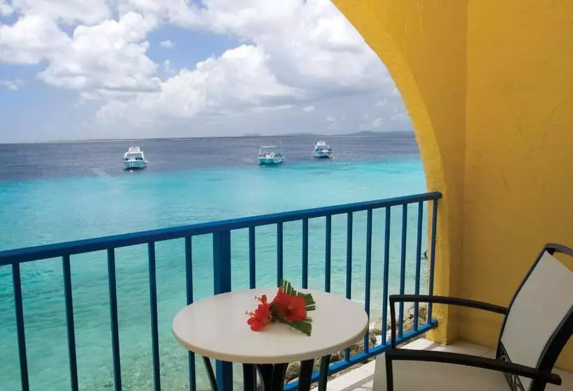 اتاق لوکس با چشم‌انداز دریا, Divi Flamingo Beach Resort