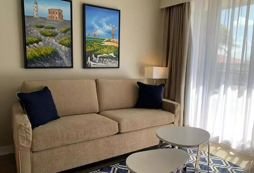 استودیوی استاندارد, Divi Flamingo Beach Resort