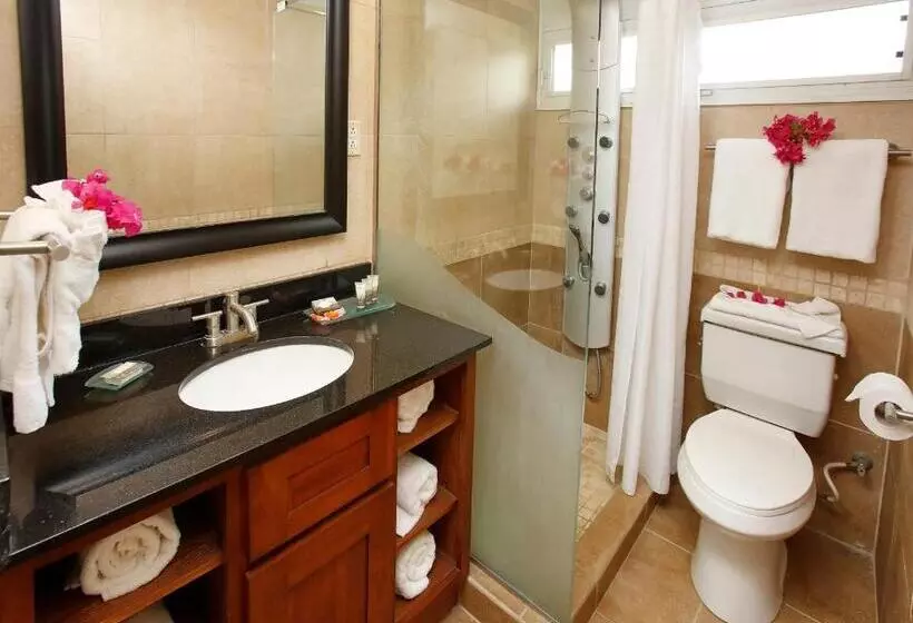 استودیوی استاندارد, Divi Flamingo Beach Resort