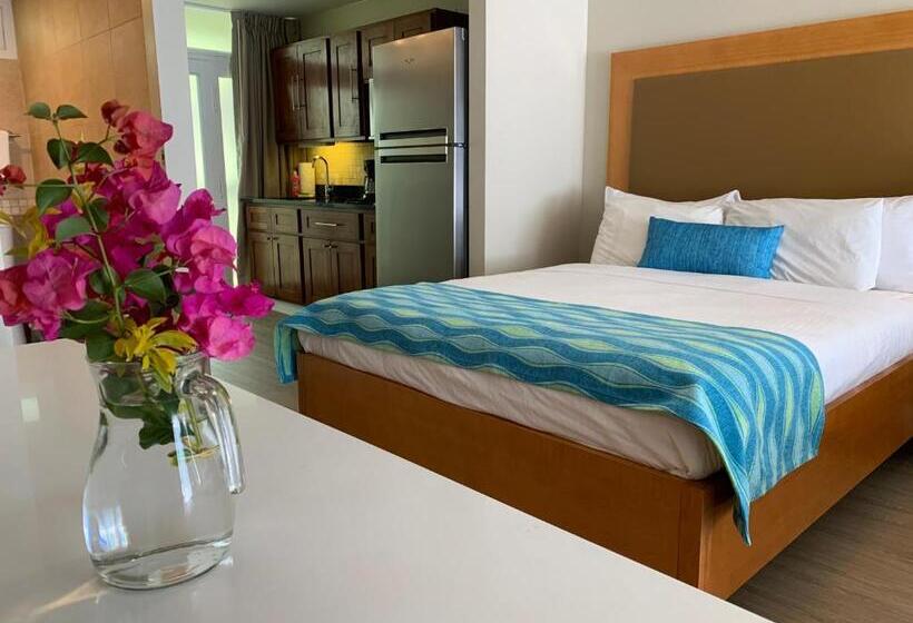 استودیوی استاندارد, Divi Flamingo Beach Resort