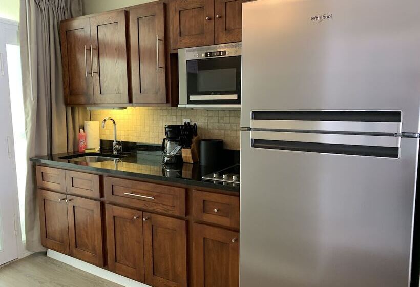 استودیوی استاندارد, Divi Flamingo Beach Resort