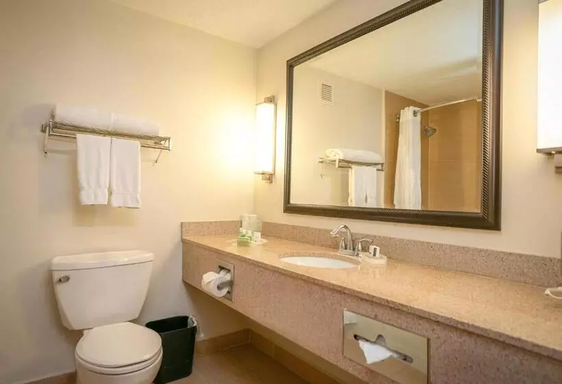 اتاق استاندارد با تخت بزرگ, Holiday Inn Mayaguez & Tropical Casino, An Ihg