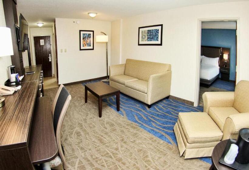 سوئیت با تخت بزرگ, Holiday Inn Mayaguez & Tropical Casino, An Ihg