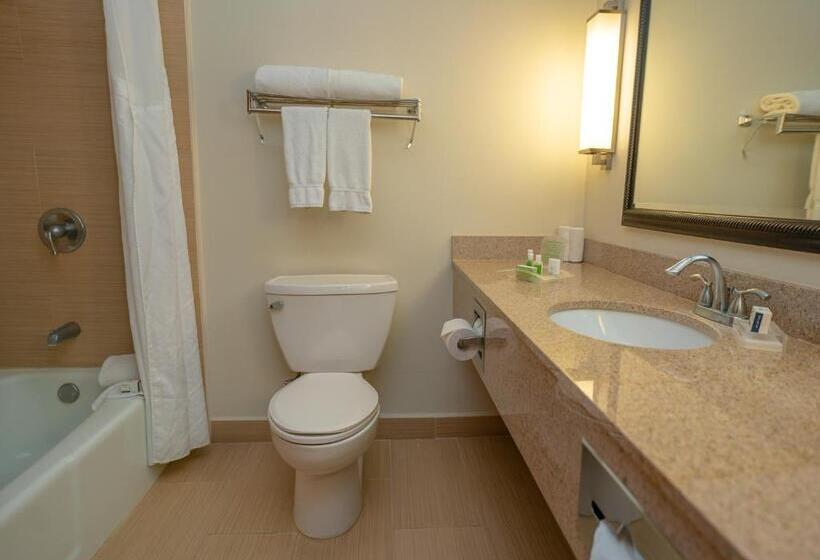 سوئیت با تخت بزرگ, Holiday Inn Mayaguez & Tropical Casino, An Ihg
