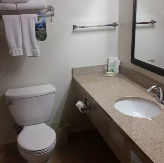 اتاق استاندارد, Holiday Inn Mayaguez & Tropical Casino, An Ihg