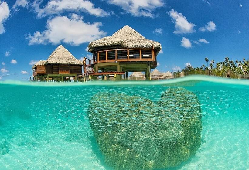 标准平房, Kia Ora Resort & Spa