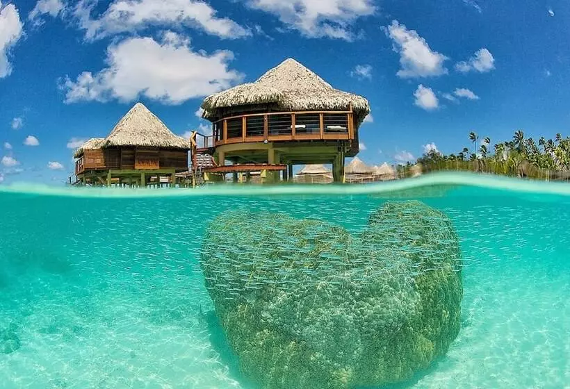 بانگلوی استاندارد, Kia Ora Resort & Spa