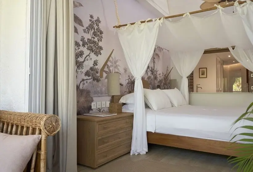 سوییت جونیور, Paradise Cove Boutique
