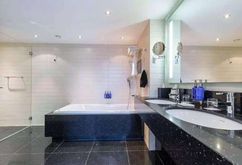 سوئیت با چشم‌انداز کانال, Radisson Blu Hotel, Amsterdam City Center