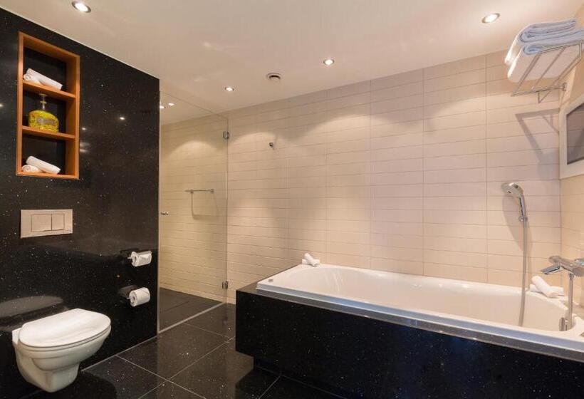 스탠다드 싱글 1인사용 해협전망, Radisson Blu Hotel, Amsterdam City Center