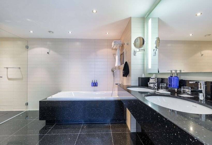 جناح ذو إطلالة, Radisson Blu Hotel, Amsterdam City Center