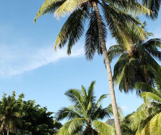 بانگلوی لوکس, Sofitel Kia Ora Moorea Beach Resort