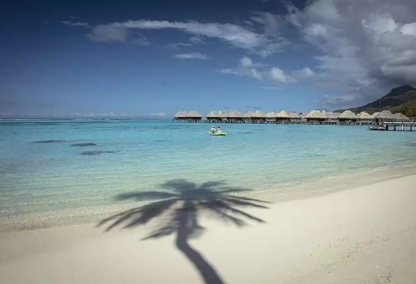 بانگلوی سوپریور, Sofitel Kia Ora Moorea Beach Resort