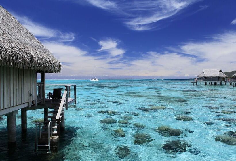 بانگلوی سوپریور, Sofitel Kia Ora Moorea Beach Resort