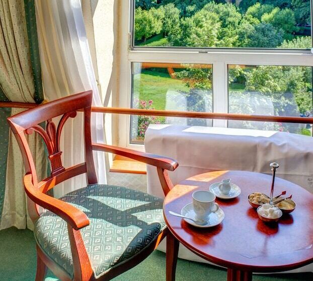 اتاق استاندارد با چشم‌انداز باغ, Adria Hotel Prague