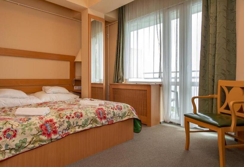 带阳台的标准单人间, Fit Hévíz