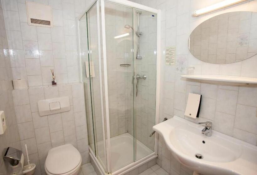 اتاق استاندارد یک نفره, Gasthof Roderich