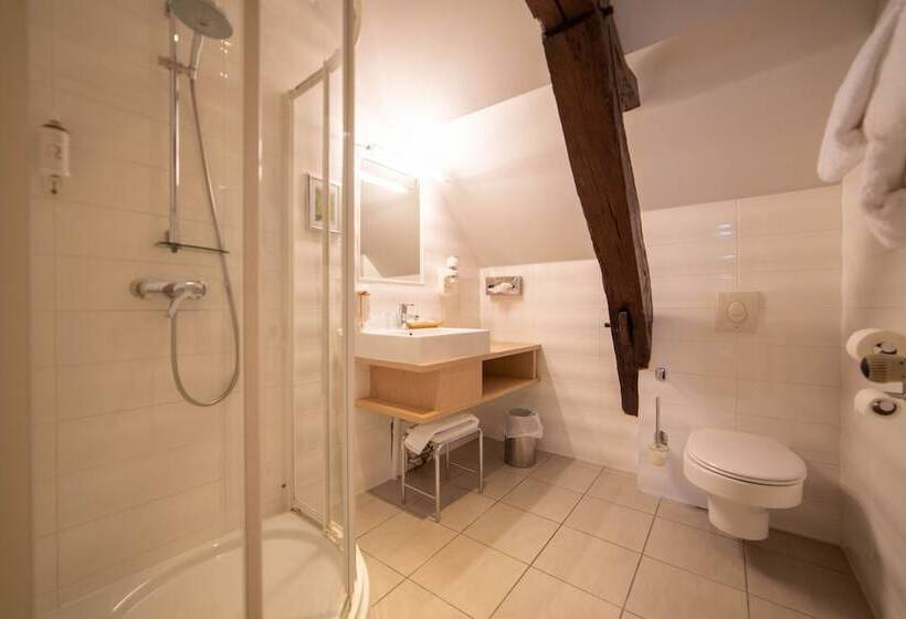 اتاق سوپریور, Hôtel Wilson   Teritoria