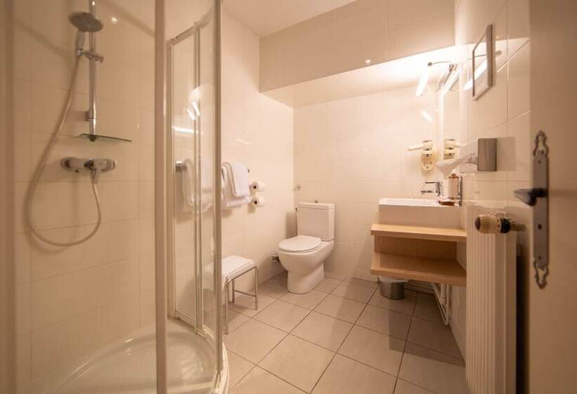 اتاق کلاسیک, Hôtel Wilson   Teritoria