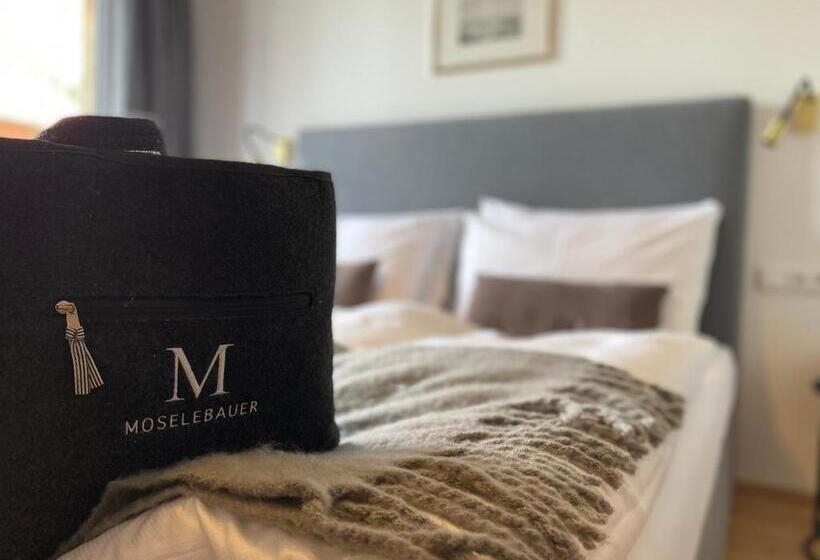 חדר דלוקס עם מרפסת, Moselebauer