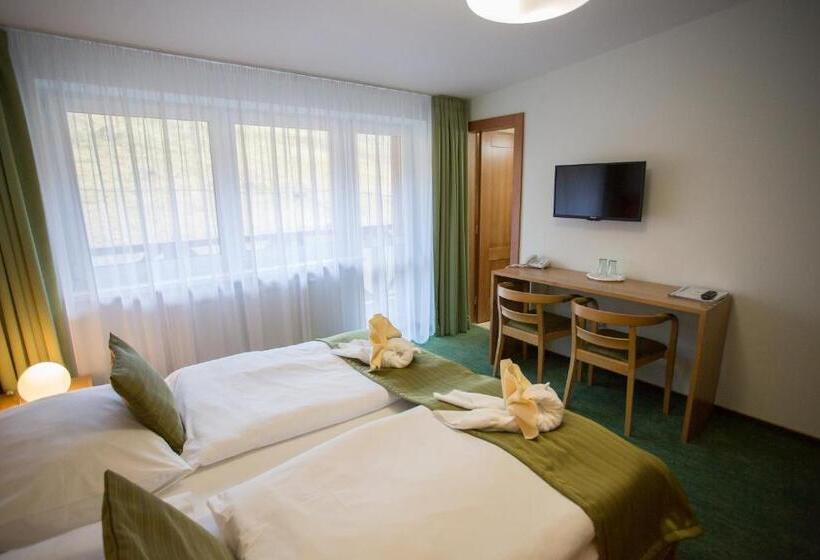 Номер Стандарт, Bystrina