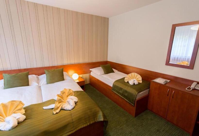 Номер Стандарт Трехместный, Bystrina