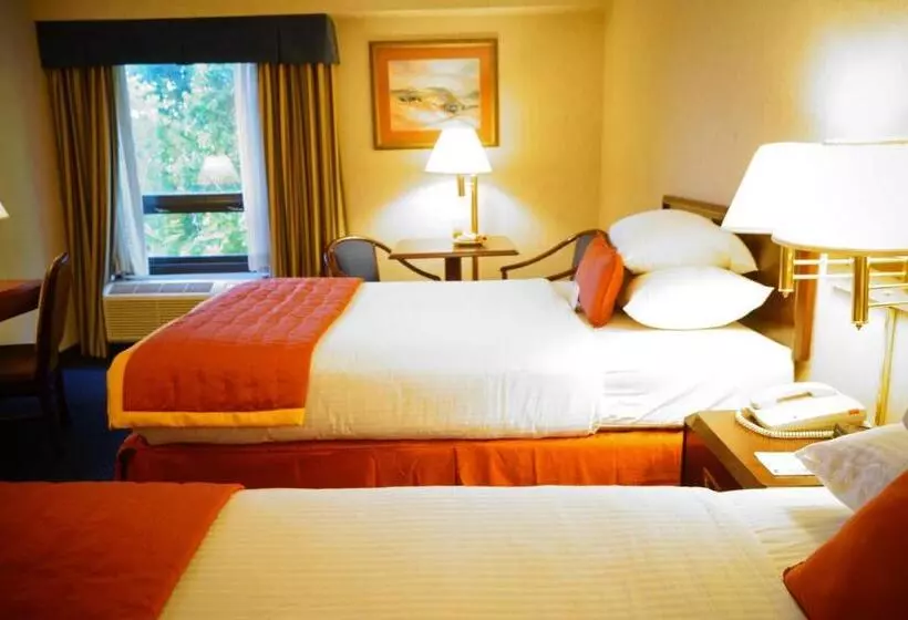 ２ダブルベッドのスタンダードルーム, Wyndham Garden Monterrey Norte
