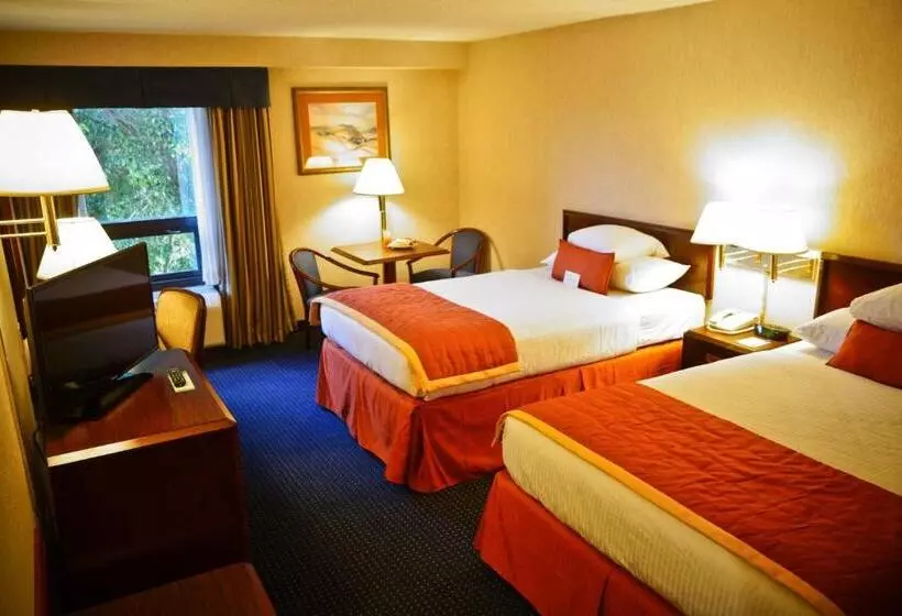 ２ダブルベッドのスタンダードルーム, Wyndham Garden Monterrey Norte
