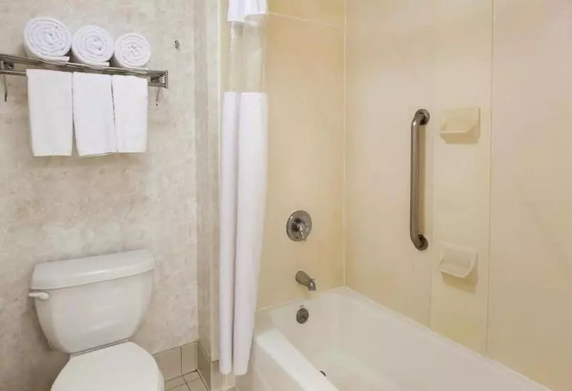 身障者適用スタンダードルーム, Wyndham Garden Monterrey Norte