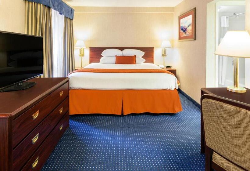 Полулюкс Кровать Кинг, Wyndham Garden Monterrey Norte