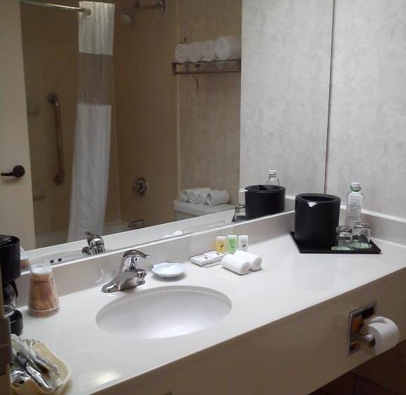 غرفة قياسية سرير كينج, Wyndham Garden Monterrey Norte