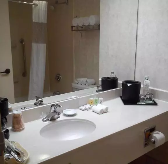 キングサイズベッドのスタンダードルーム, Wyndham Garden Monterrey Norte