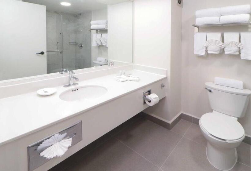 Номер бизнес-класса, Wyndham Garden Monterrey Norte