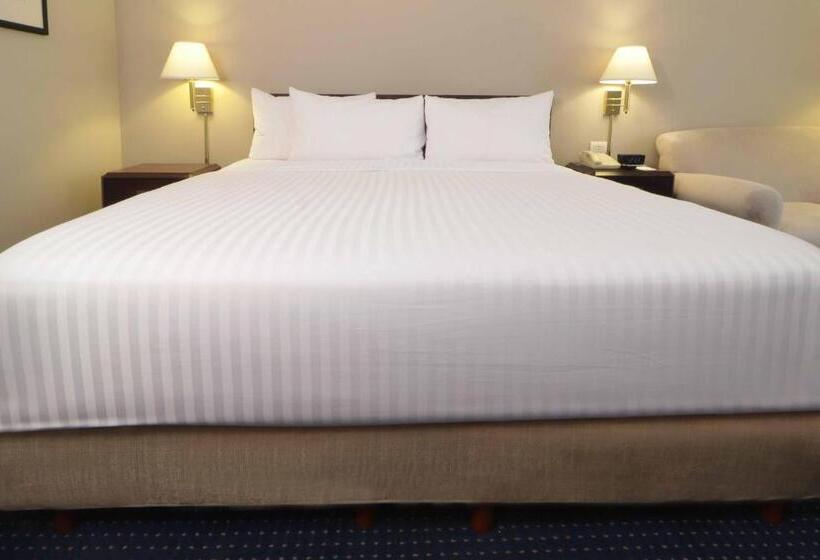 غرفة بيزنس, Wyndham Garden Monterrey Norte